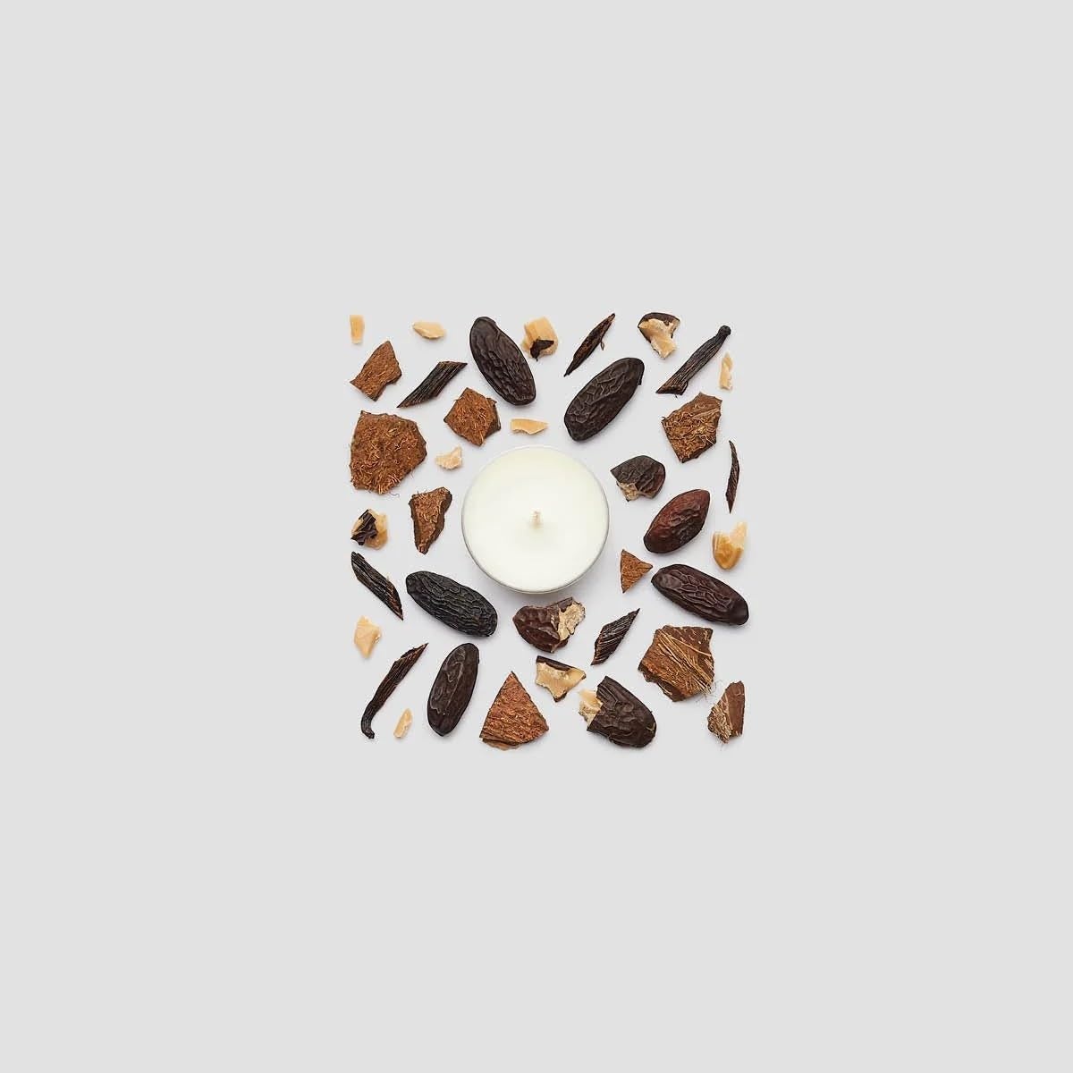 PartyLite Brighter World™ Set of 12 Tea Lights Candles, Vanilla Tonka ...